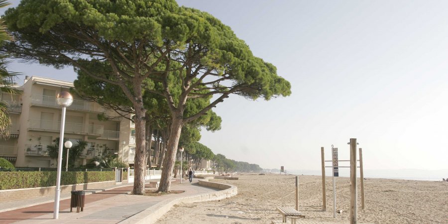 LA CONSEJERÍA DE TURISMO CONVOCA AYUDAS PARA LA MEJORA DE LAS PLAYAS ANDALUZAS
